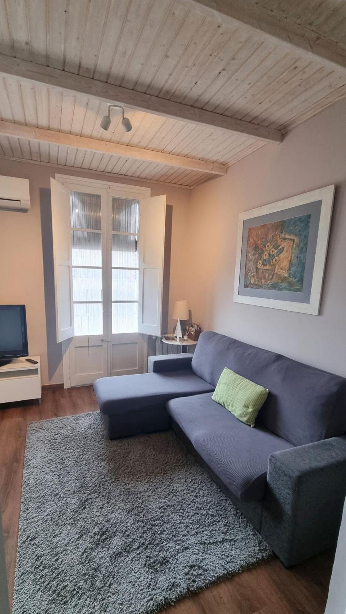 Apartment Sant Francesc Olot Exteriör bild