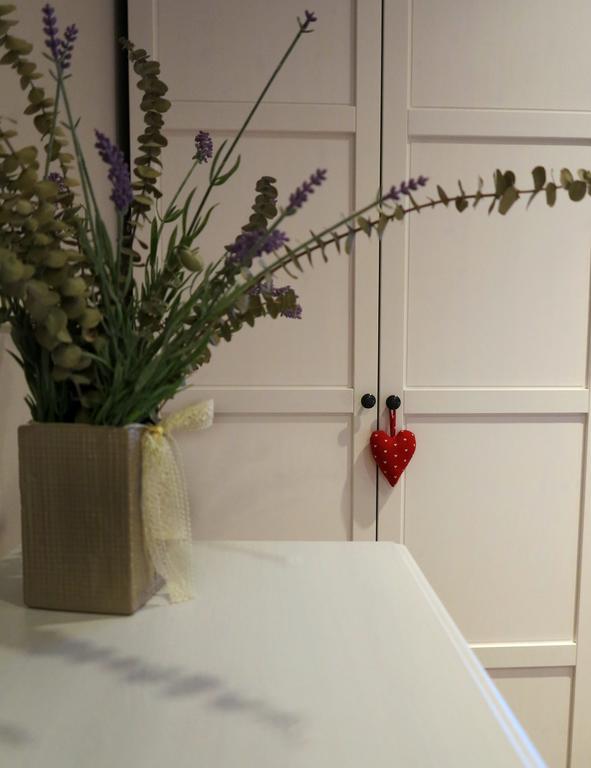 Apartment Sant Francesc Olot Exteriör bild